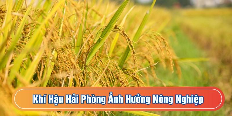Nông nghiệp chịu tác động lớn từ thời tiết
