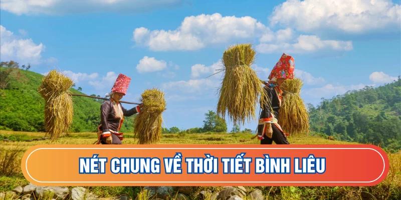 Nét chung về thời tiết Bình Liêu 