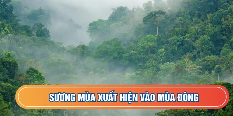 Thời tiết Vĩnh Phúc có sương mù vào mùa đông