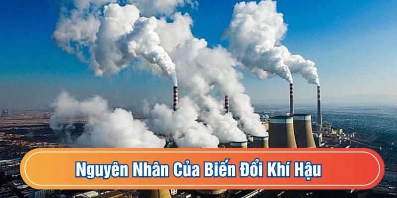 Hoạt động của con người khiến những khí hậu bị ô nhiễm