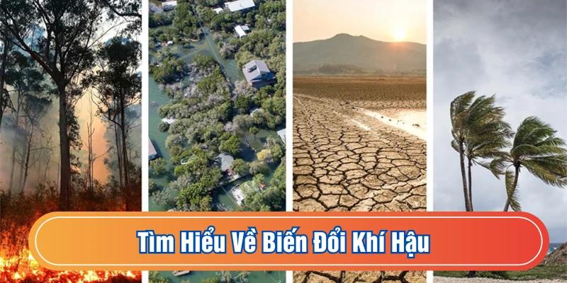Biến đổi khí hậu là những thay đổi của các kiểu thời tiết dài hạn